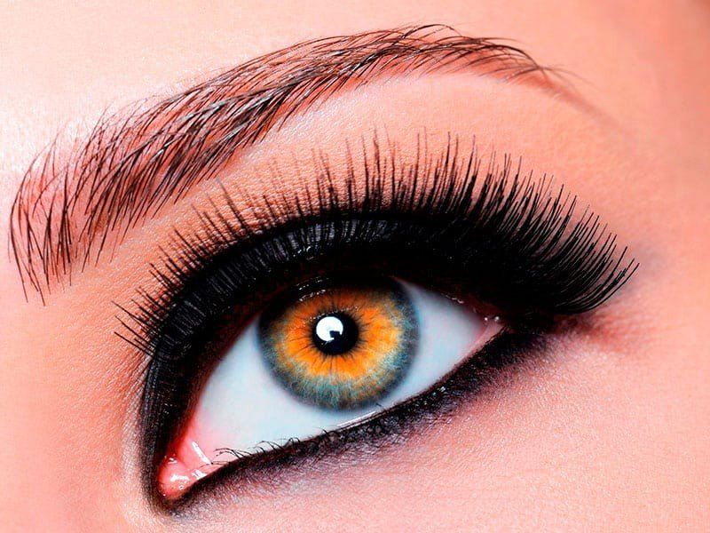 Eyebrows and eyelashes coloring VK Skin SPA, BROOKLYN NY